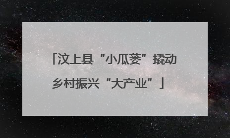 汶上县“小瓜蒌”撬动乡村振兴“大产业”